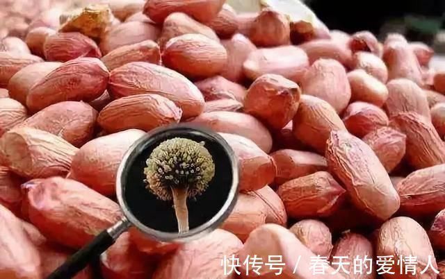 发霉|一家三口同时患癌,医生只因一件“东西”用了十年不扔