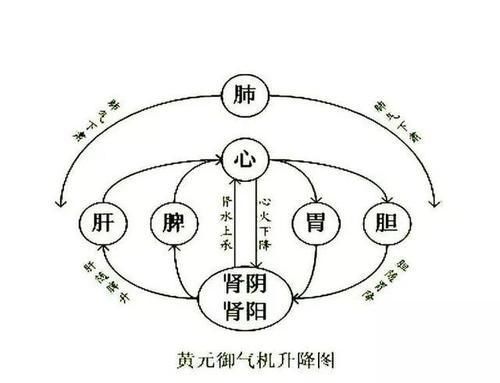  脾胃|国医大师的调脾胃秘方，都在这里了