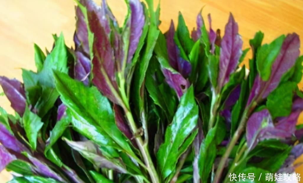 养颜|聪明人爱吃3种食物,鲜美又营养,脸色红润,嫩肤养颜,好处多多