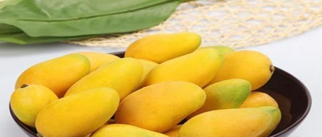 就不要再|喜欢吃芒果,购买时却不知道怎样选果农教你小妙招,买的更好吃