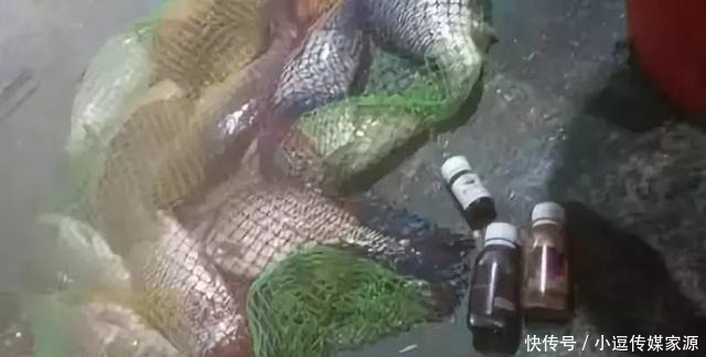 秋钓草边“三钓”、“三不钓”，用好了总有一次要爆护