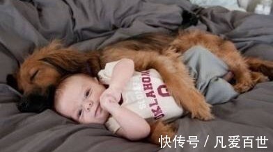 |搞笑动图:我就含在嘴里不吃,逗你玩!