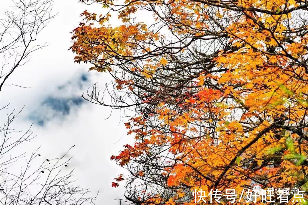 佛坪|魅力陕西行·山色空蒙雨亦奇！秋雨后的佛坪，山幽云雾绕