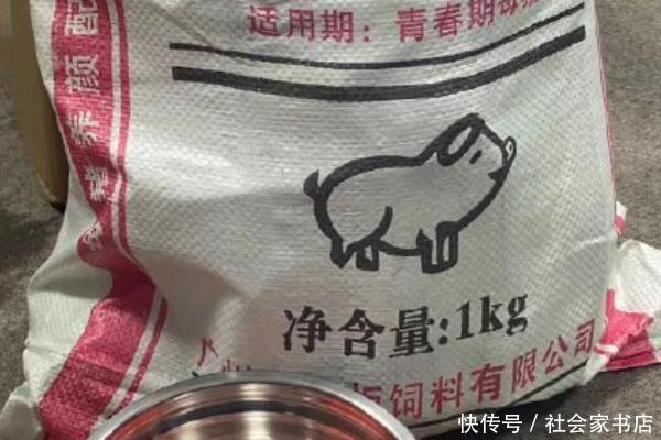宁静给节目组送猪饲料,对比其他姐姐,网友不愧是猪饲料代言人