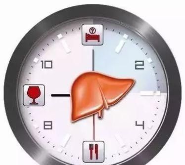  提高肝功能并不难！送你4个“锦囊”，肝脏一天比一天健康