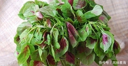 聪明人|聪明人最爱吃这种野菜,可以有补充维生素的作用,好吃还不贵