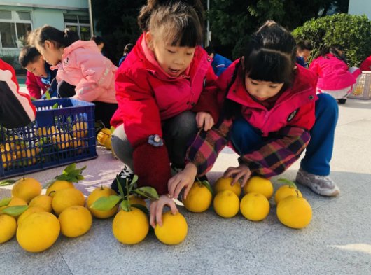 五年级|杭州春芽实验学校： “柚”遇见美好——春芽柚子节