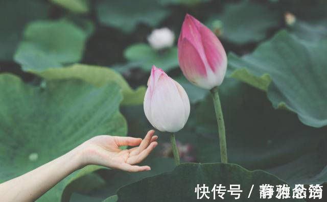 欧阳修$晏殊这首词读来肝肠寸断,还诞生了两个成语,我们现在还经常引用