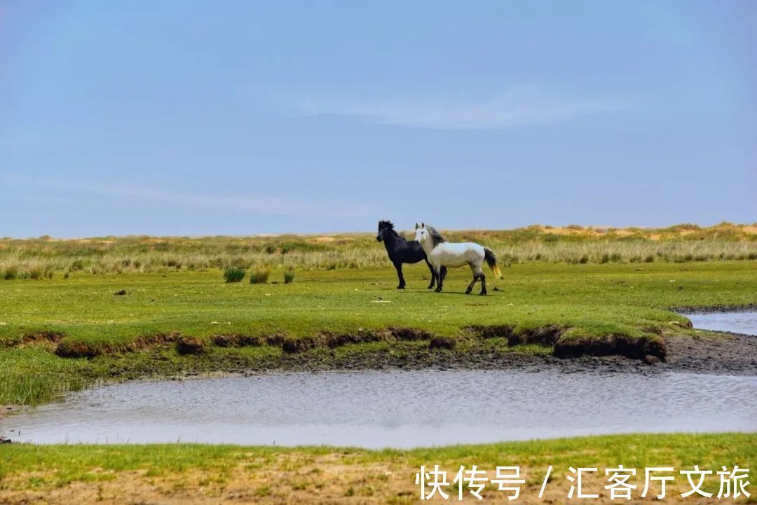 沙漠|除了黄沙漫天,腾格里的沙漠里还能干什么?
