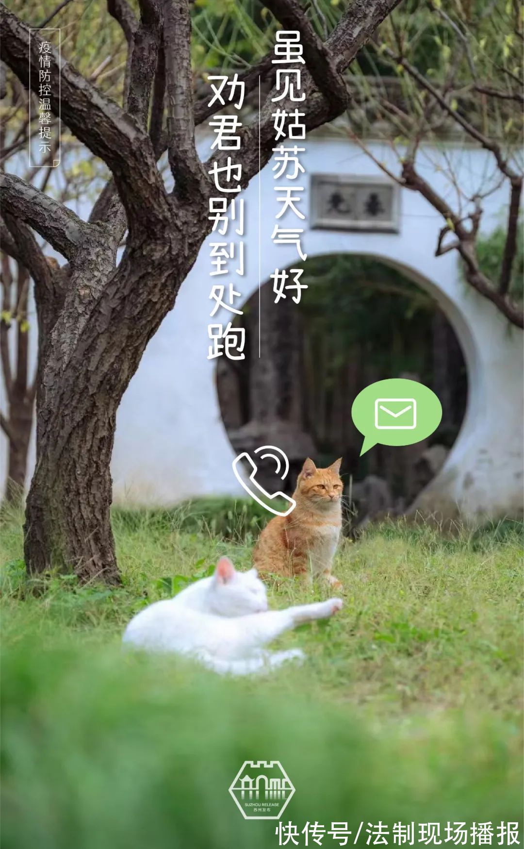 薛巍|苏州园林的猫:“要摒牢!”