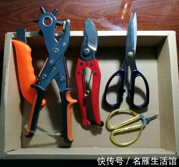 洗衣液用完了,空桶不要丢,咔嚓剪一剪,秒变漂亮大花盆