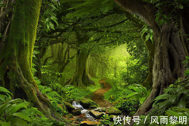 |这些句子中哪一个更理智且幽默?读完你内心获益了吗?