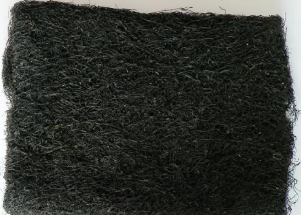 动植物|黑市每公斤最高可达500元!发菜不属于植物,为何人喜欢吃?