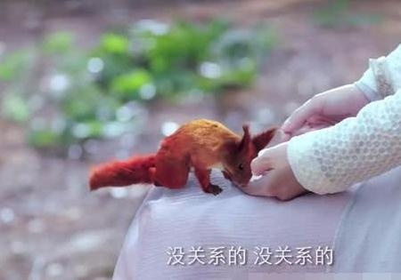 芸汐传:毒蛊兽化成人形,拿走手镯救回芸汐,骗惨了非夜和七少!