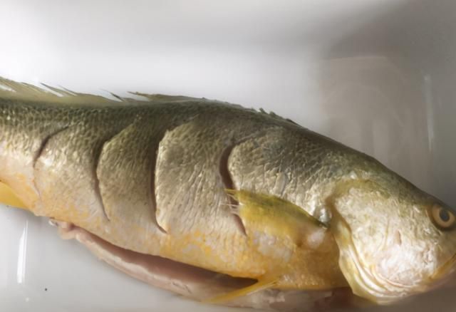 煎鱼|煎鱼时,别直接下锅煎,学会这1招,鱼不粘锅不破皮,营养不流失