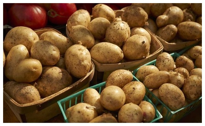 土豆保存有技巧,学会1个方法,土豆能存放一年,新鲜好吃不破皮
