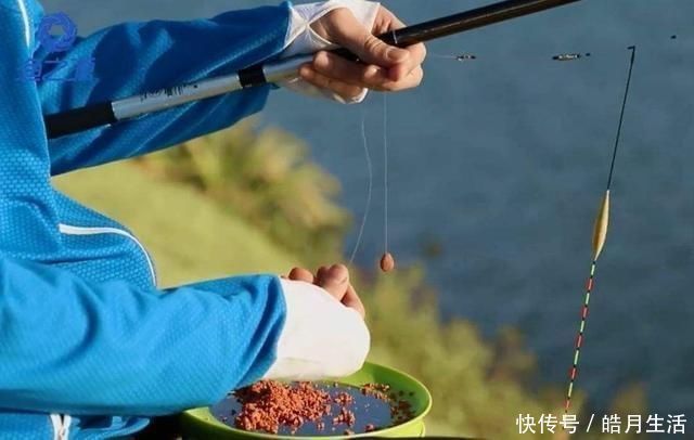 钓饵|钓半水浮漂只需这样调，钓底、钓浮无需再次调漂