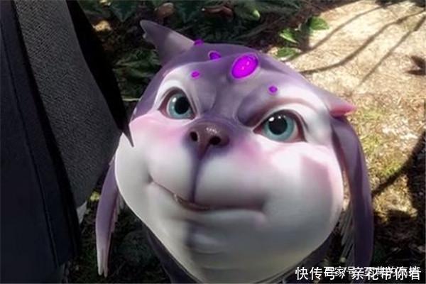 奥斯卡|《斗罗大陆》被忽视的4大武魂,成就让人意外,网友:真是想不到