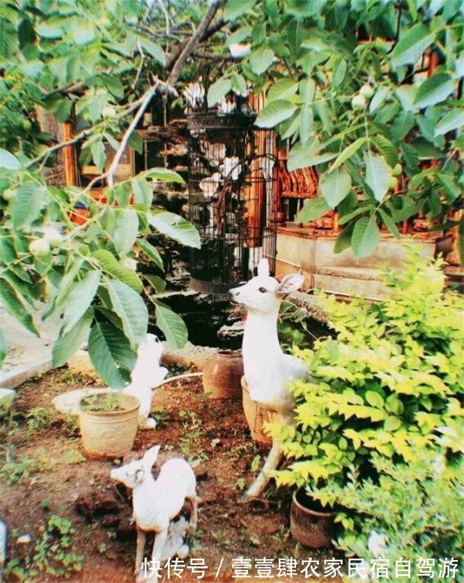 柴鸡炖蘑菇|天津蓟州环秀湖隆田居农家院，王府式四合院，150一晚还包三餐！