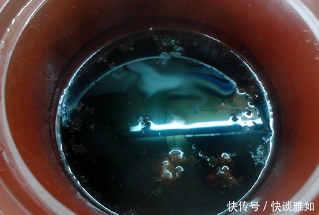 活了这么久才知道,补血气没有比“它”更好的,隔三差五喝一碗