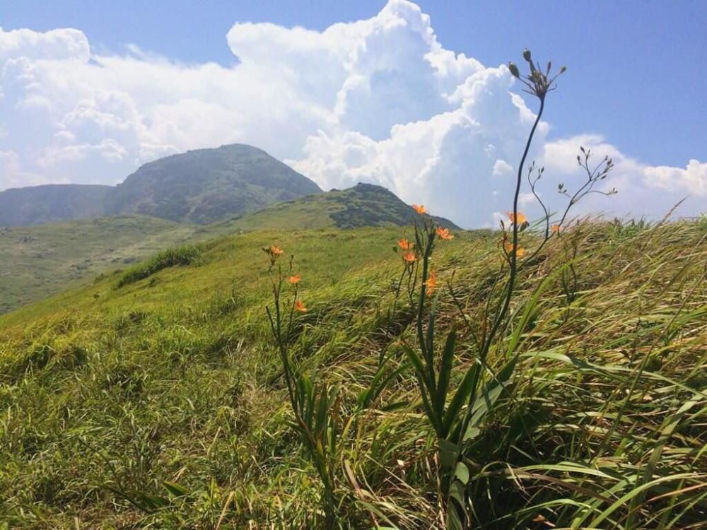 少有人知的避世小岛，秀美自然未被开发，感受最纯净的美景