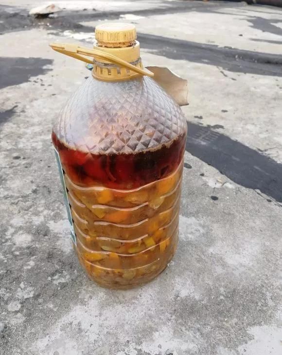 爆盆|养花不开花?自制“开花肥”,浇盆里猛开花,不用花钱买