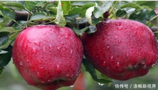 風(fēng)濕性關(guān)節(jié)炎|想長(zhǎng)壽得會(huì)吃，推薦吃以下4種食物，益氣補(bǔ)血，補(bǔ)腎強(qiáng)腰，好處多