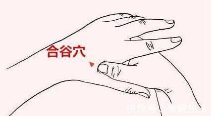 腹脐|55岁后为长寿关键期,保“三处”,按“三穴”,长寿健康随之而来