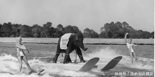 世界|世界历史上的一组老照片，珍贵到不相信自己的眼睛！