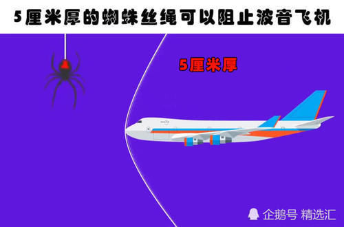 蹄兔|即便真正的学霸也未必知晓的9个有趣的冷知识