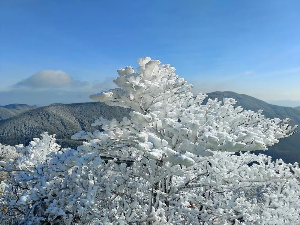 岩门|秋日最宜登高望远，缙云这些爬山好去处必须要知道！