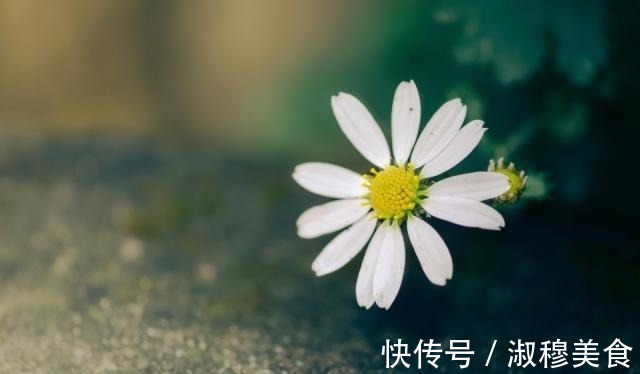 和为贵&一个人福报来临前的四个迹象，有一个，也要恭喜了