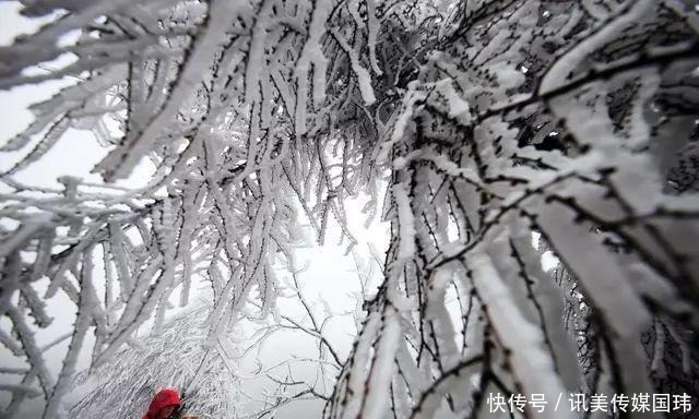 重庆周末去赏雪：新一轮降温后，雪漫人间！这些地方都可以赏雪