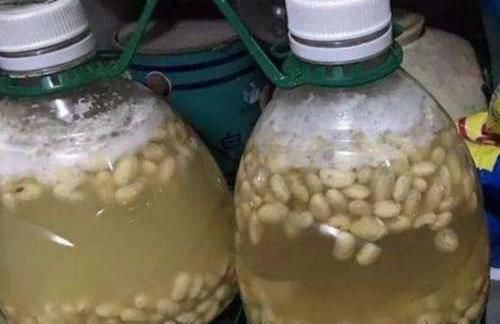 【草丁图书馆】黄豆加上这2样“泡泡”浇花,可让植物根壮叶绿枝茂