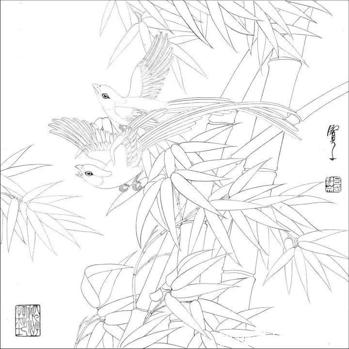 资料集|王道良实用花鸟白描资料集