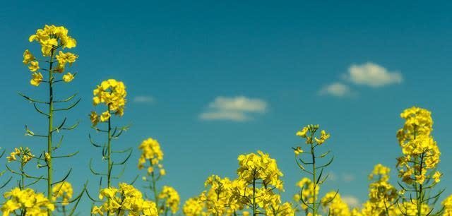 人生@心烦的时候,记住这3句话,让你受用一生