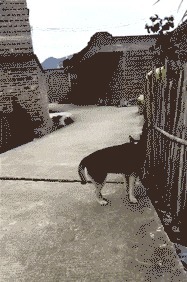 |搞笑GIF段子:小姐姐你这么漂漂,为什么没有男朋友呢?