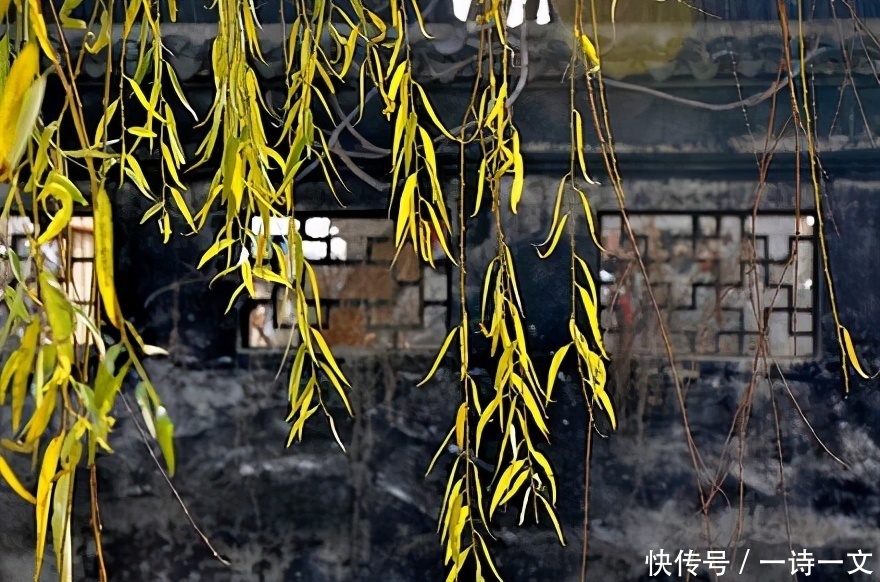 我的世界竹和风