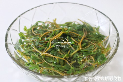 马齿苋|本是菜园里的草,没舍得除掉,随手一拌就是好菜,吃上瘾了