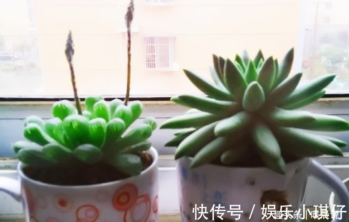 炫耀!不炫耀,是一种智慧