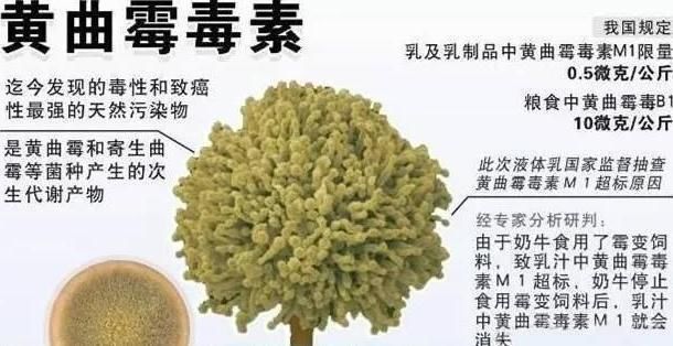 瓜子|此物被称癌症的“头号帮凶”，你可能每天都在吃为健康早了解