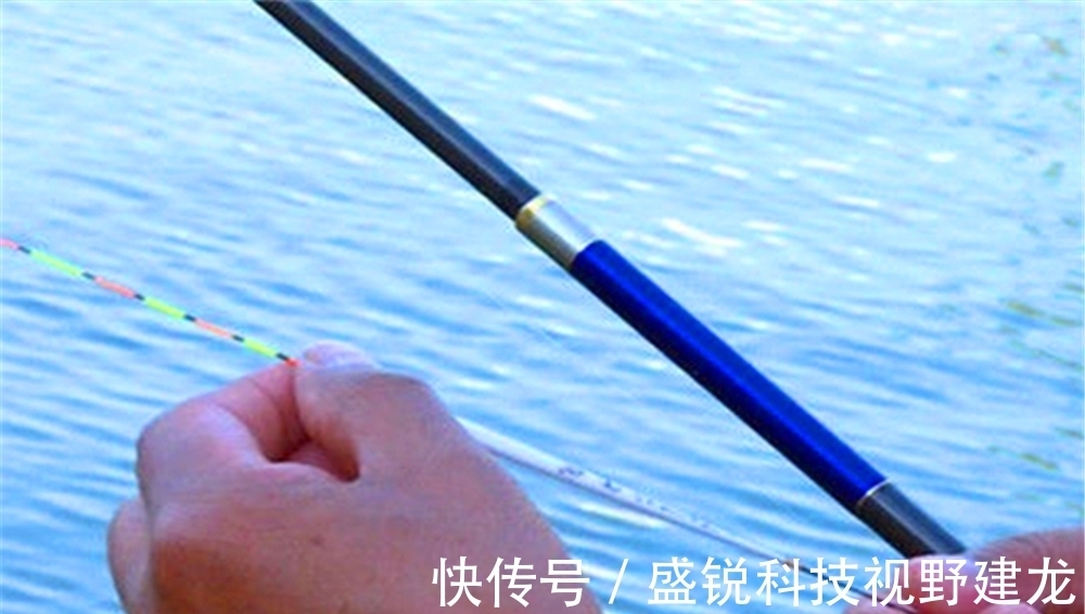 子线|钩、饵重量与调、钓目的关系,不了解这些,是知其然不知其所以然