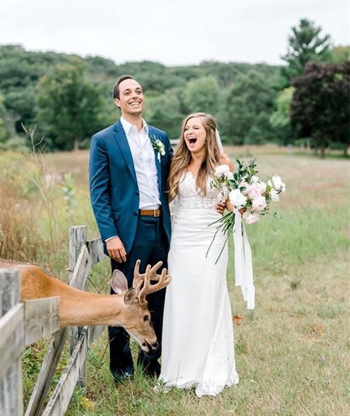 小鹿闯入婚纱照拍摄现场，抢夺新娘手中玫瑰，多么美妙的惊喜！