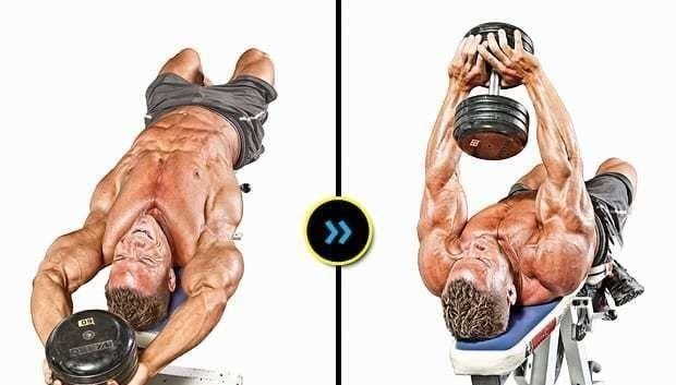 背阔肌|训练背阔肌最好的7个动作，做对了让你的训练效果大不同