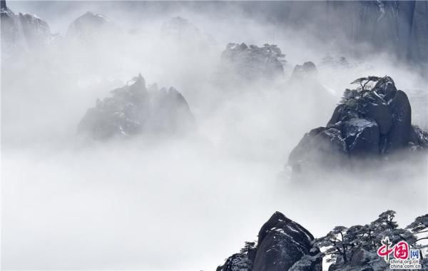 冰雪|大雪过后的黄山，是一个被冰雪包裹的艺术品