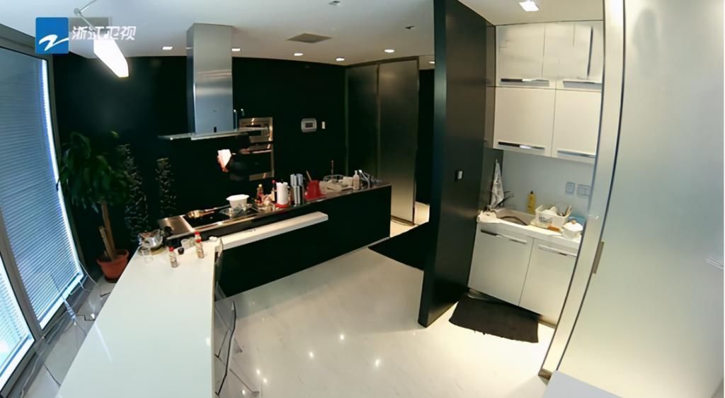 电梯|华谊总裁王中磊家,电梯入门,一进门就是金钱的“味道”