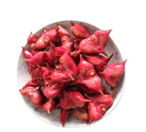 白玛瑙$宝玉给探春送东西的玛瑙碟子,袭人为什么坚持要回来?她有大用途