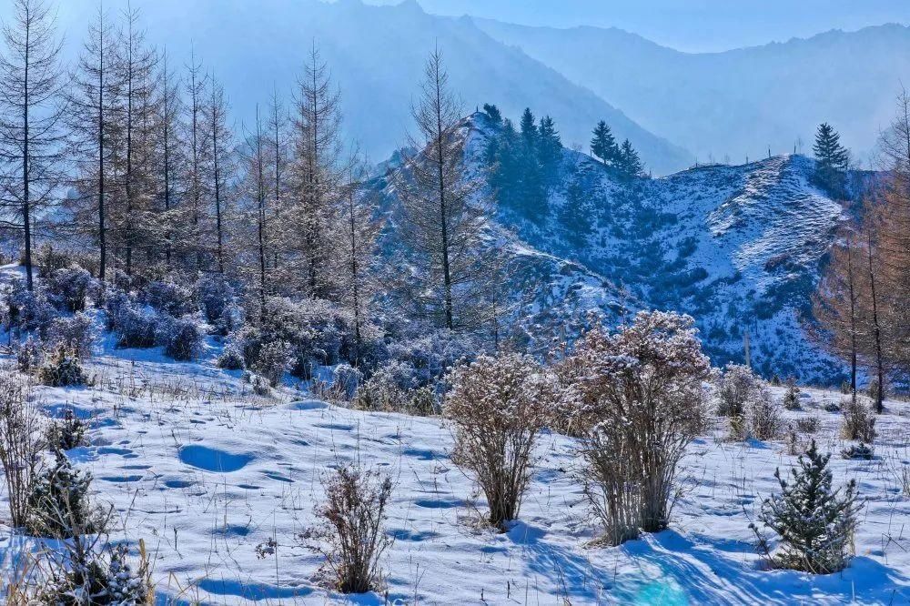 祁连山|【组图】肃南：雪后祁连山分外妖娆