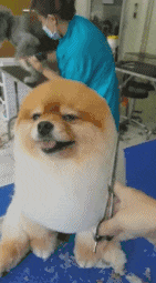 |搞笑GIF: 如何才能健康长寿 大爷讲的太对了