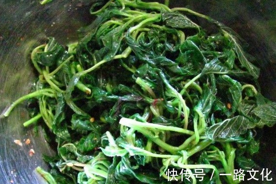 营养价值|天热,这3种野菜要多吃,比买的营养高,清肠消暑还补钙!